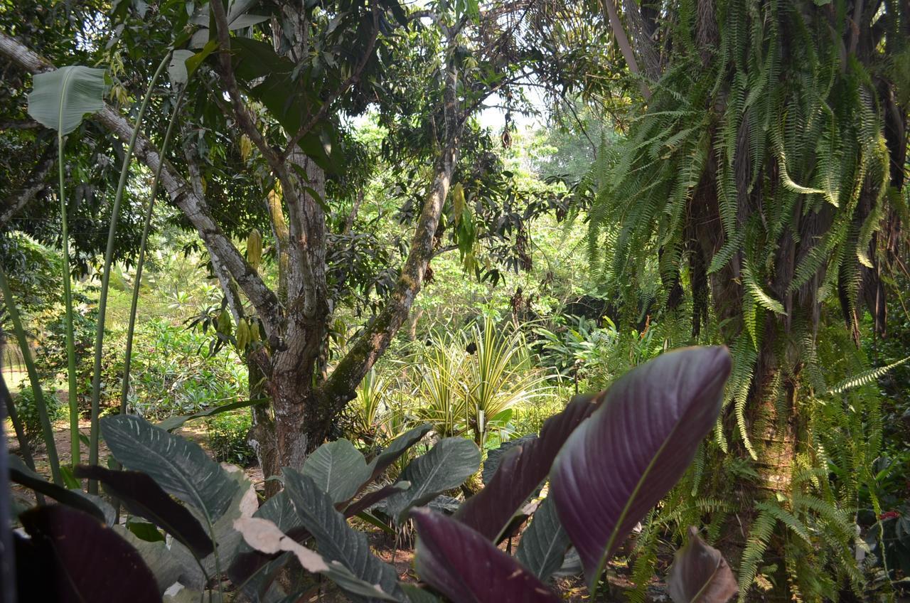 Amanwana Ecofinca Hotel Melgar Exterior photo