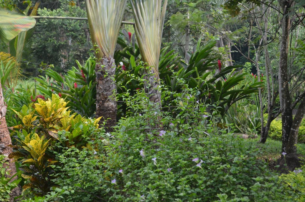 Amanwana Ecofinca Hotel Melgar Exterior photo