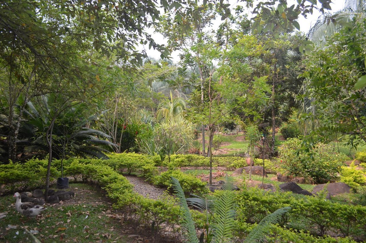 Amanwana Ecofinca Hotel Melgar Exterior photo