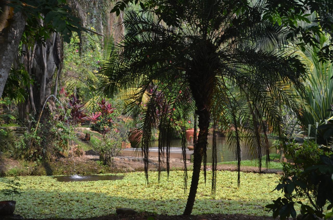 Amanwana Ecofinca Hotel Melgar Exterior photo